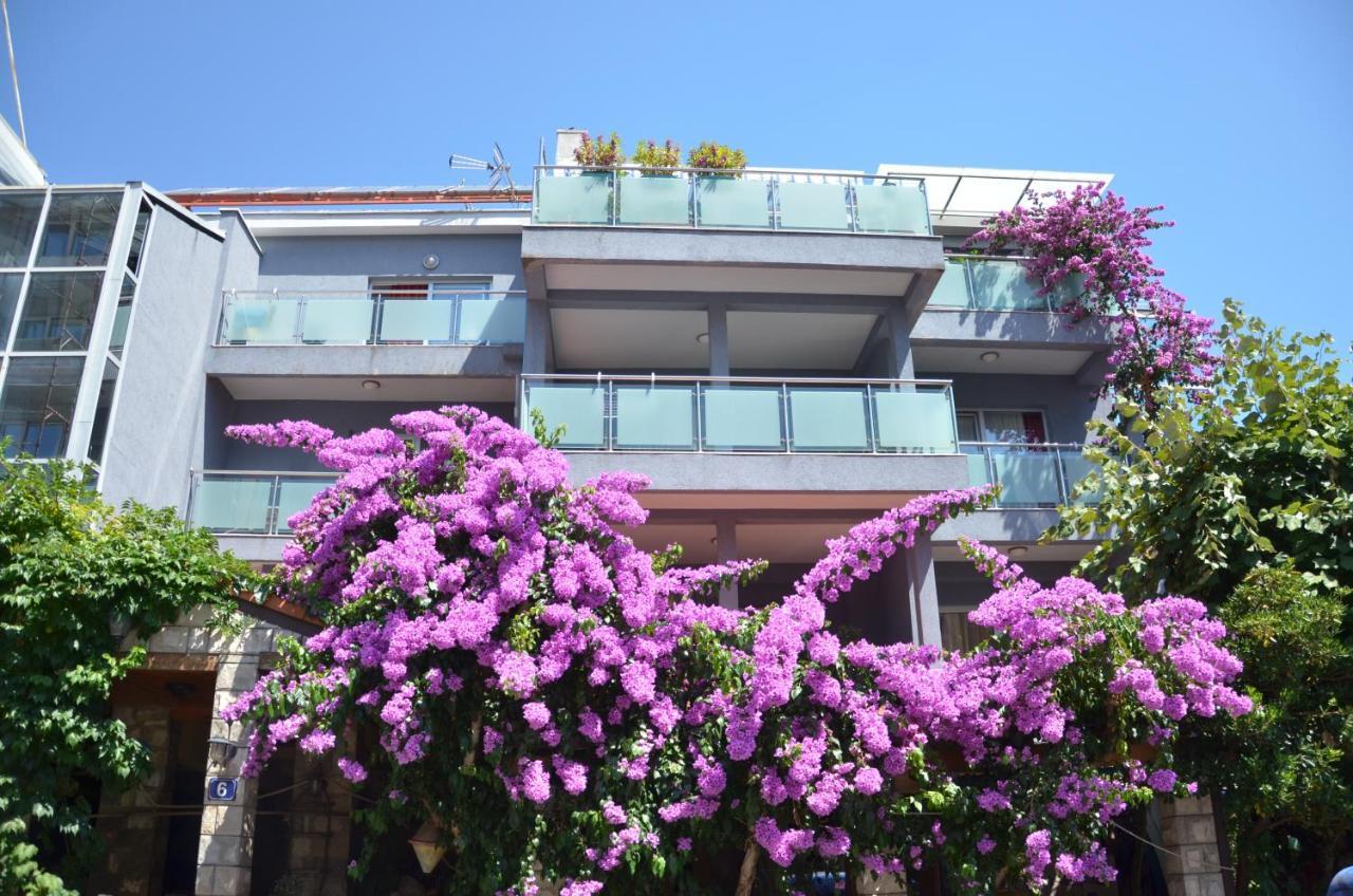 Salute Apartment *